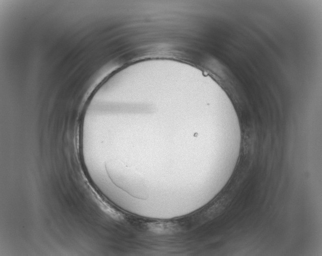 X0000081280804200701181741