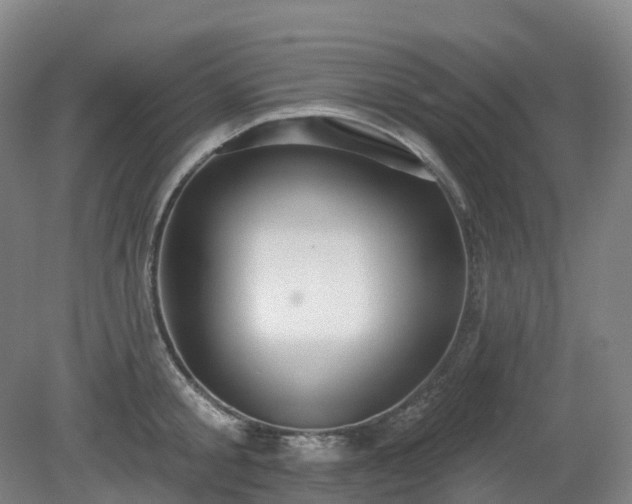 X0000081280805200701181741