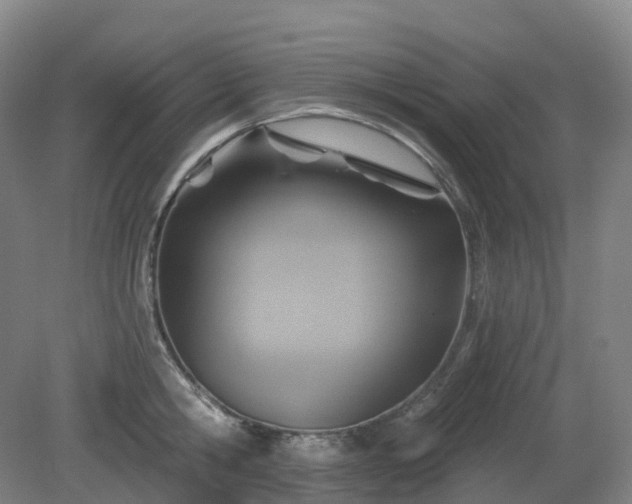 X0000081280806200701181741