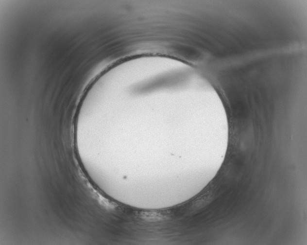 X0000081280807200701181741