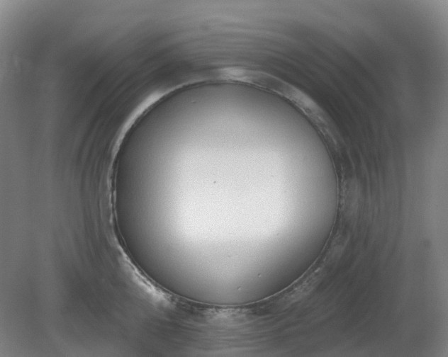 X0000081280808200701181741