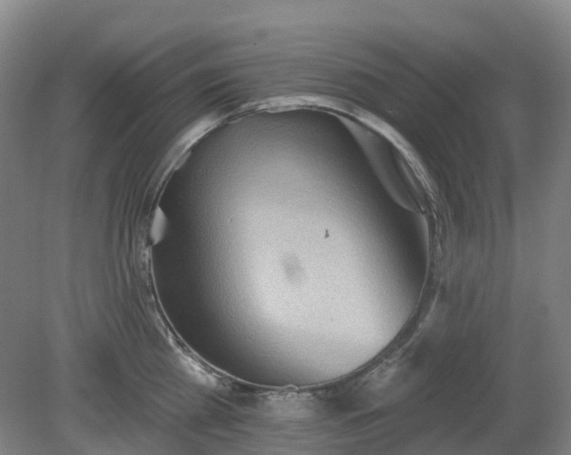 X0000081280809200701181741