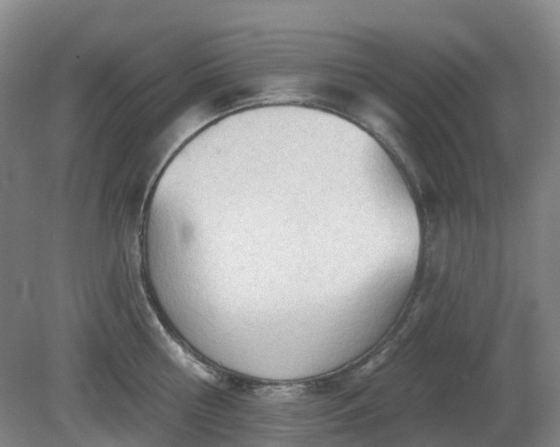 X0000081280810200701181741