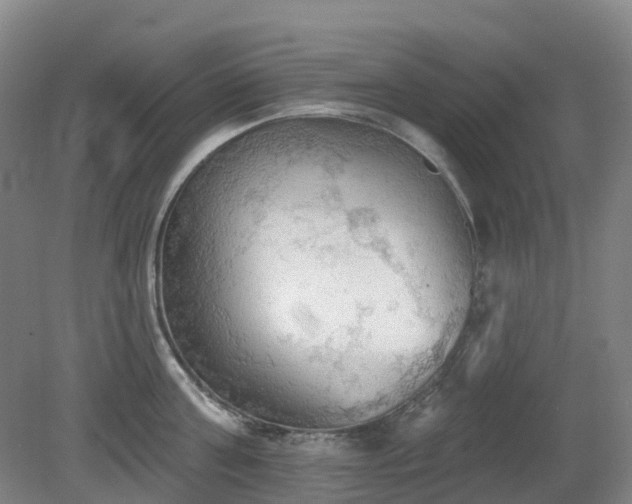 X0000081280811200701181741