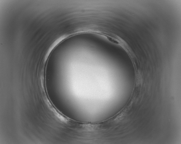 X0000081280812200701181741