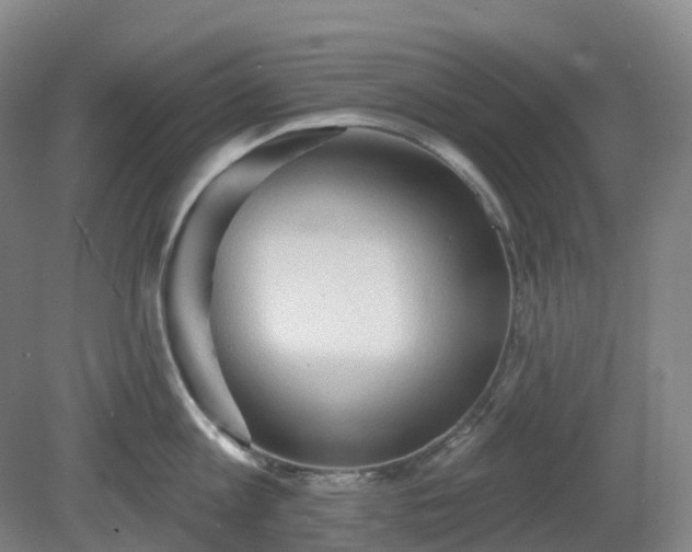 X0000081280813200701181741