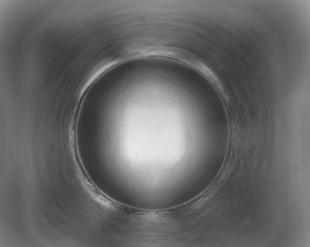 X0000081280814200701181741