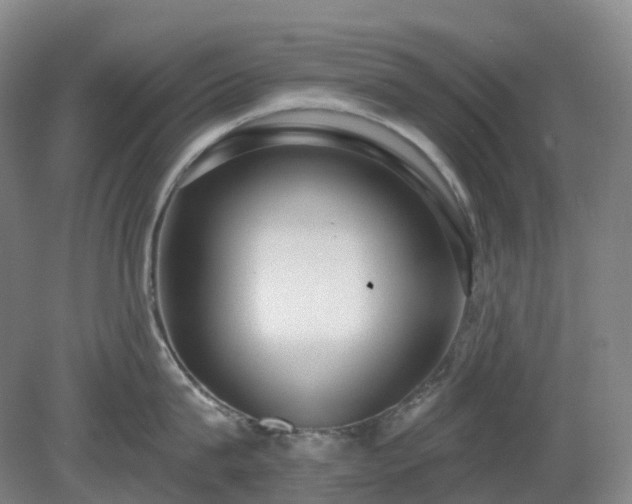 X0000081280815200701181741