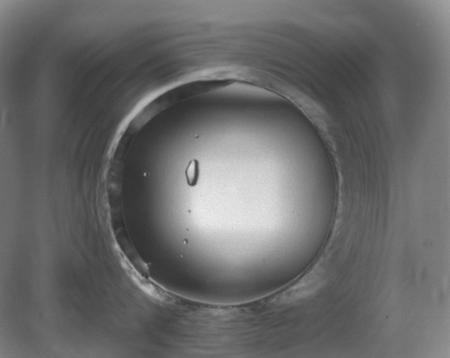 X0000081280816200701181741