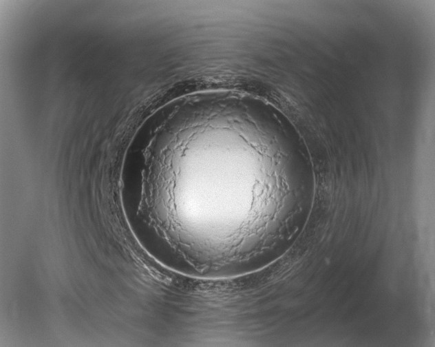 X0000081280817200701181740