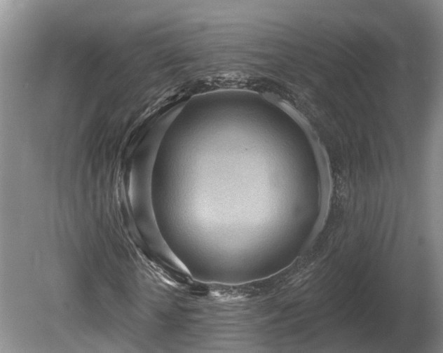 X0000081280818200701181740