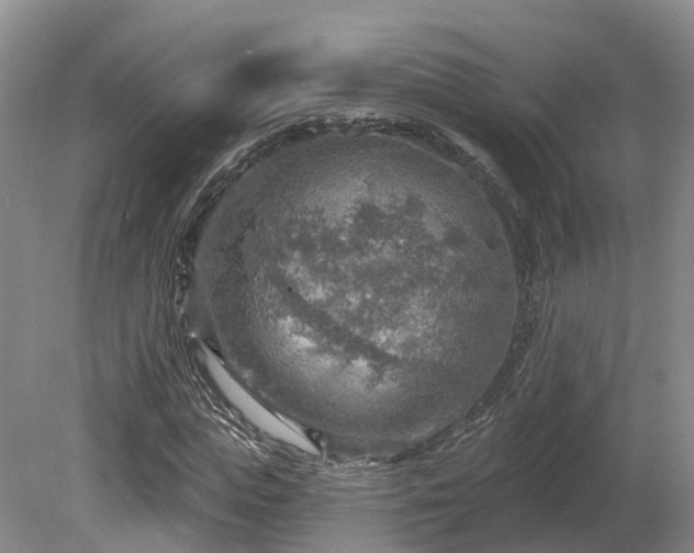 X0000081280823200701181740