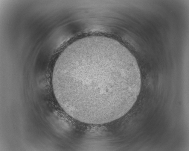 X0000081280824200701181740