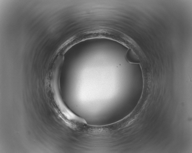 X0000081280826200701181740