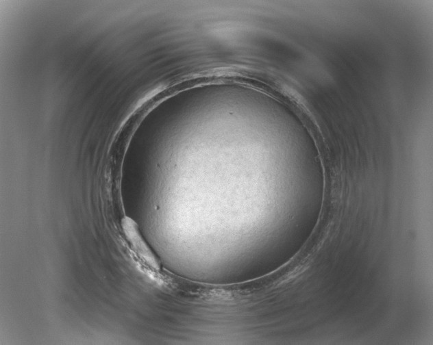 X0000081280827200701181740