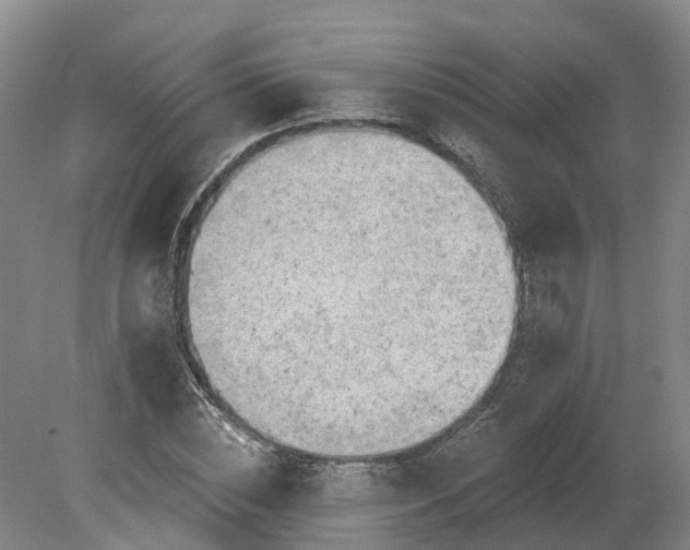 X0000081280828200701181740