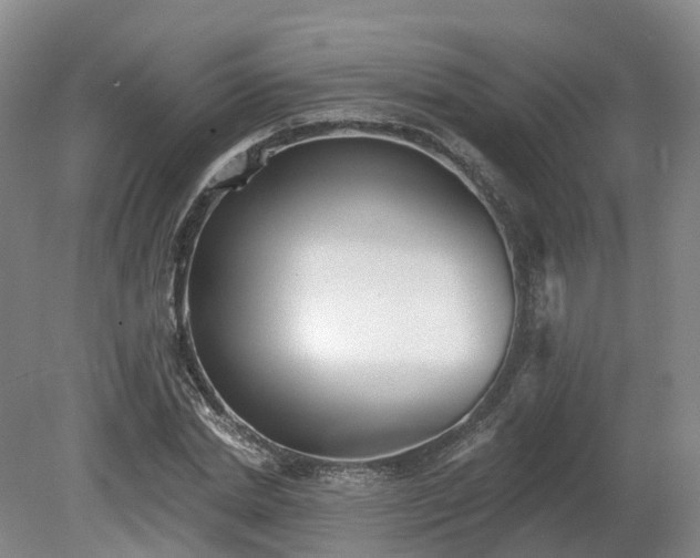 X0000081280830200701181741