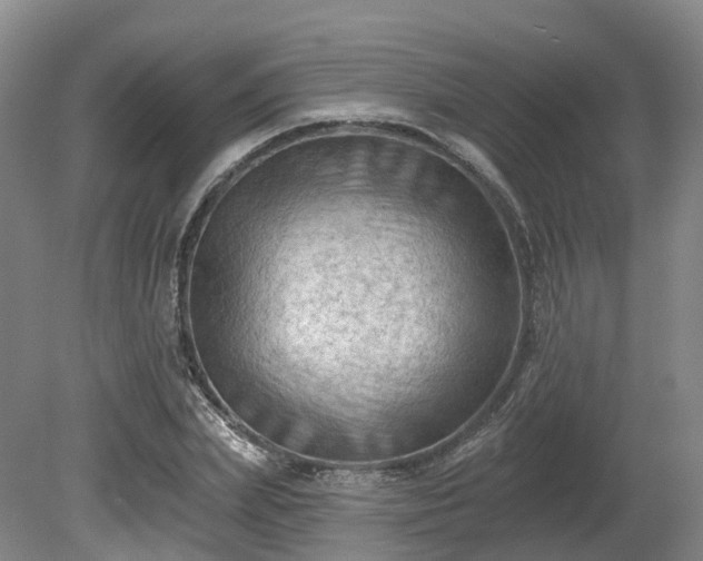 X0000081280831200701181741