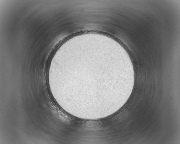 X0000081280832200701181741