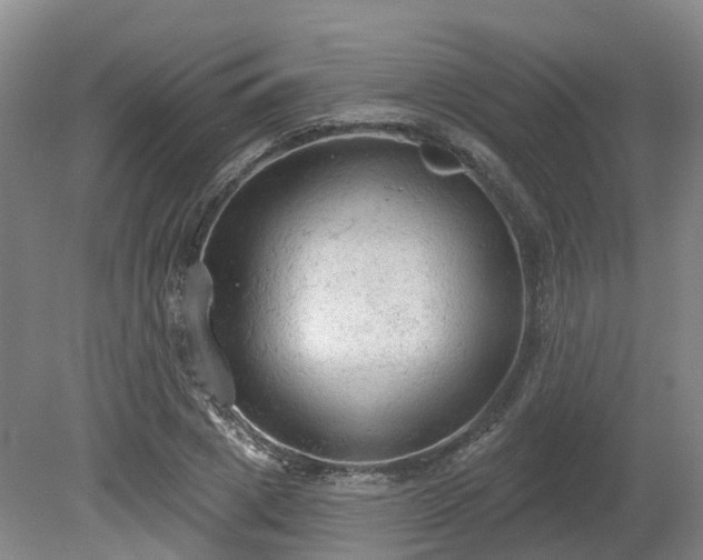 X0000081280833200701181741