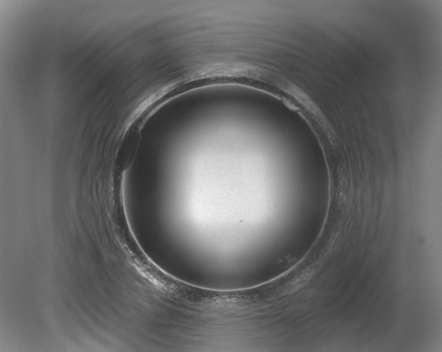 X0000081280834200701181741