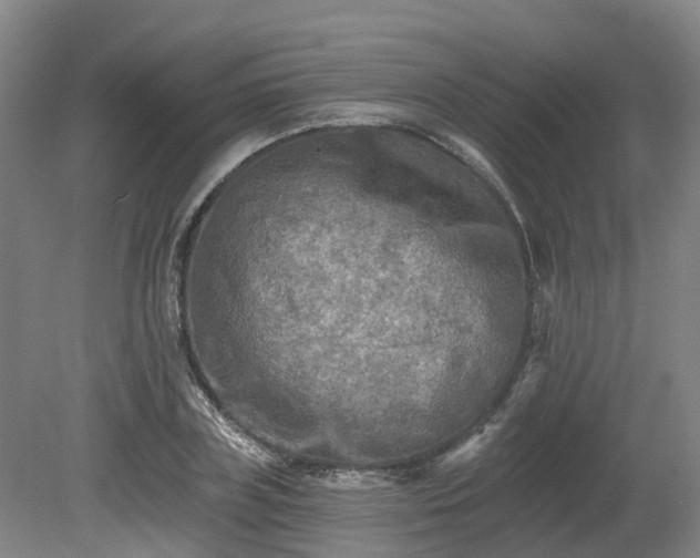 X0000081280835200701181741