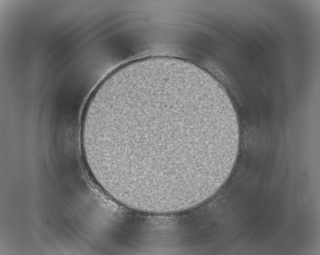 X0000081280836200701181741