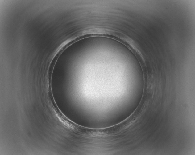 X0000081280837200701181741