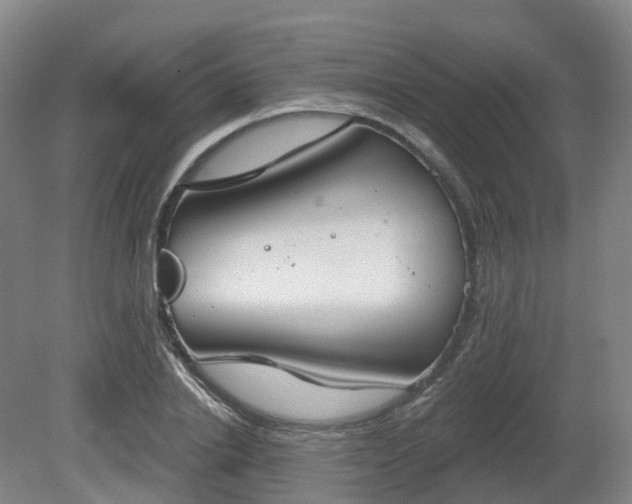 X0000081280838200701181741