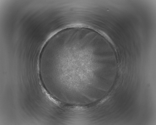 X0000081280839200701181741