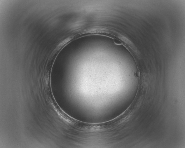 X0000081280841200701181741