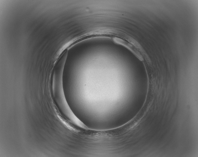 X0000081280842200701181741