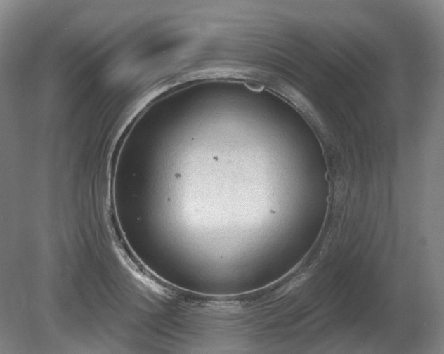 X0000081280844200701181741