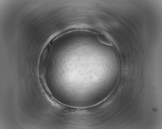 X0000081280845200701181741