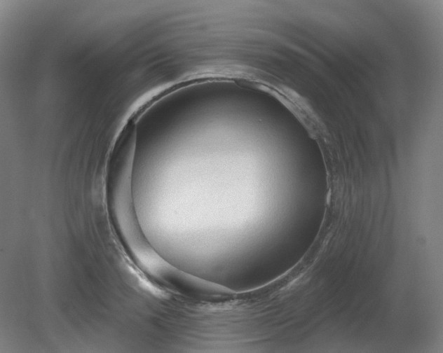 X0000081280846200701181741