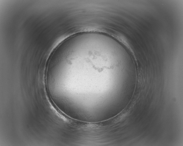 X0000081280847200701181741