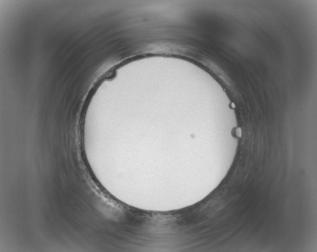 X0000081280848200701181741