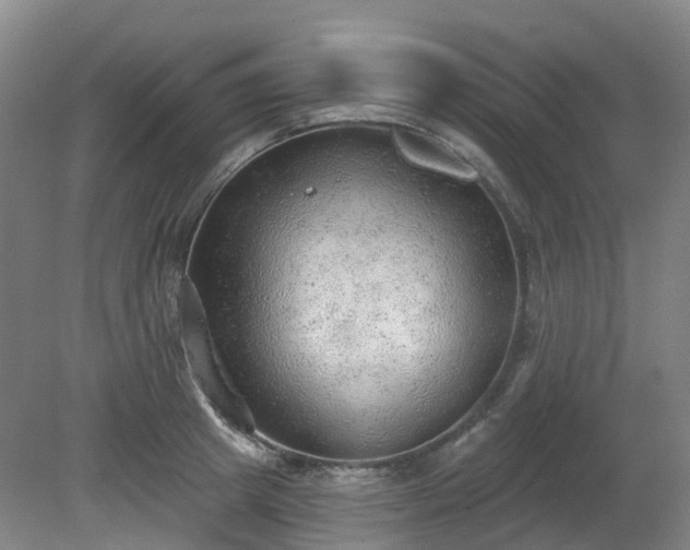 X0000081280849200701181741