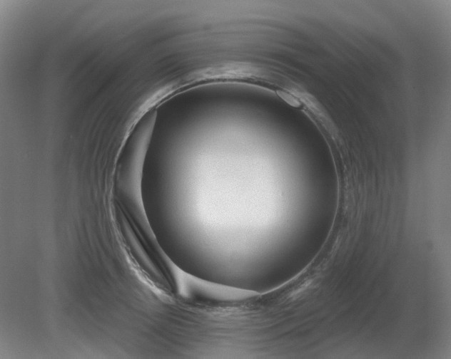 X0000081280850200701181741