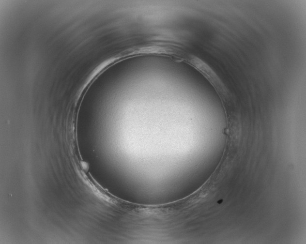 X0000081280852200701181741