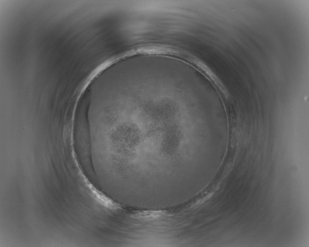 X0000081280853200701181741