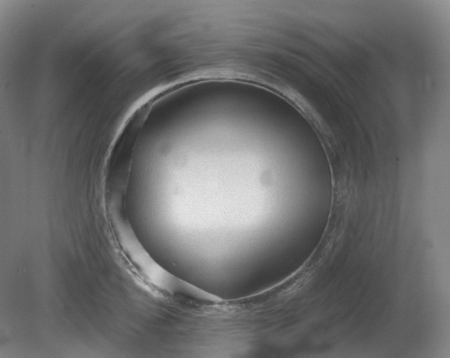 X0000081280854200701181741