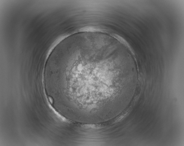 X0000081280855200701181741