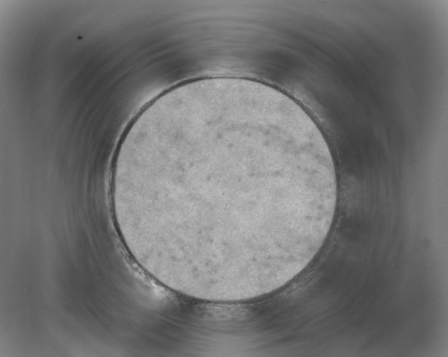 X0000081280856200701181741