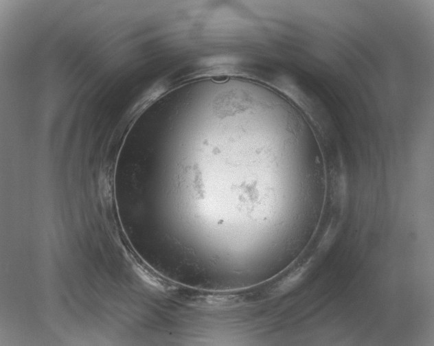 X0000081280857200701181741