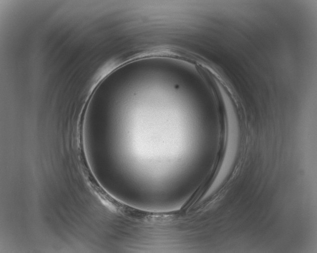 X0000081280858200701181741