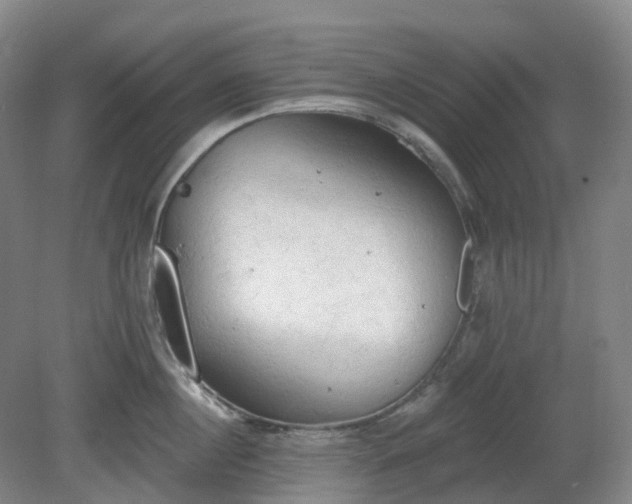 X0000081280860200701181741