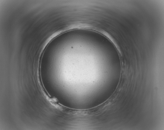 X0000081280861200701181741