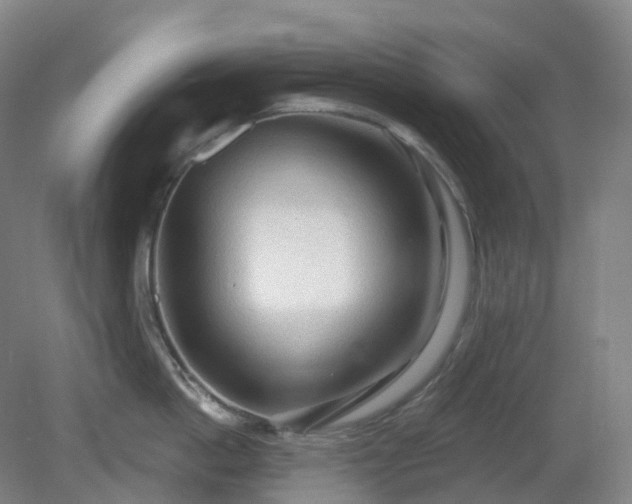 X0000081280862200701181741