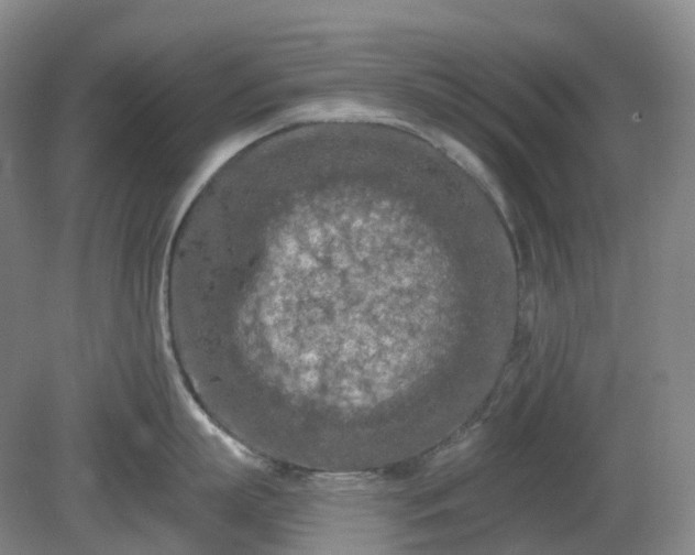 X0000081280863200701181741